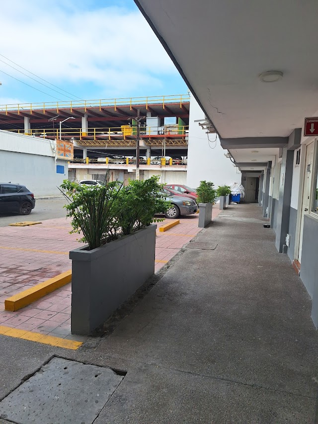 Hotel 25